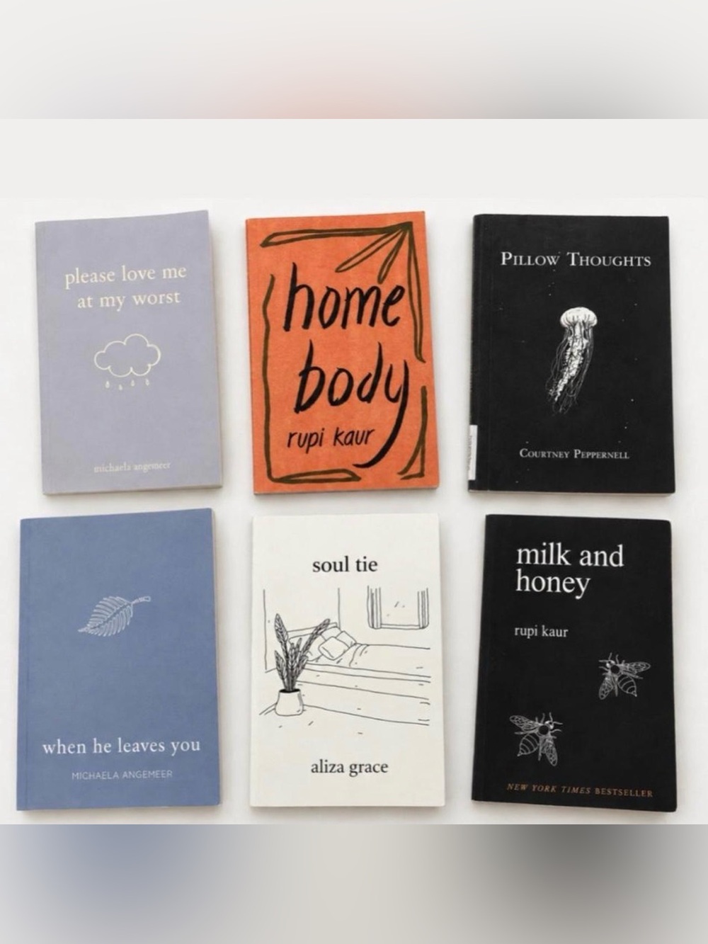 Poetry Books Bundle - lot of 6!